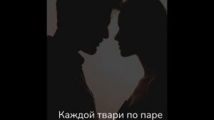 Tainstvennaya - Каждой твари по паре (KalashnikoFF Mix)