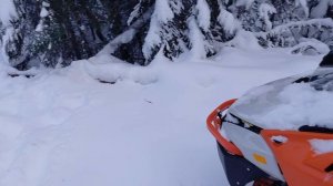 Первая мини экспедиция до лесного озера.