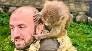 ЧТО СЛУЧИЛОСЬ С АНФИСОЙ? Она так стала УХАЖИВАТЬ за Денисом и даже СДЕЛАЛА ЕМУ МАССАЖ ГОЛОВЫ!