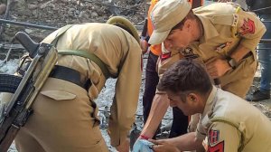 Жуткое убийство раскрыли после обнаружения скелета женщины спустя год поисков