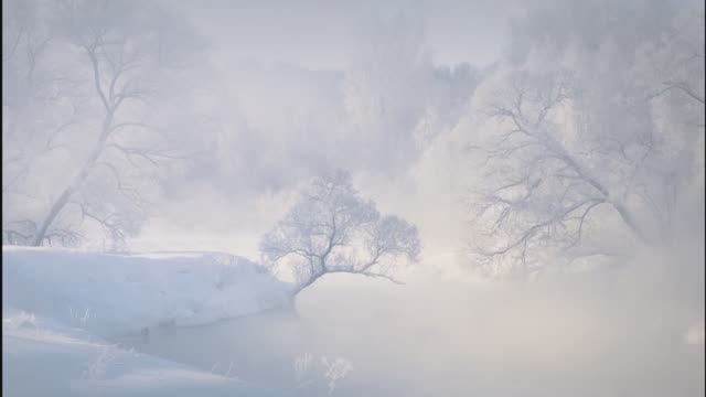 The Modern Jazz Quartet - Tears from the Children смотреть онлайн