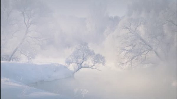 The Modern Jazz Quartet - Tears from the Children