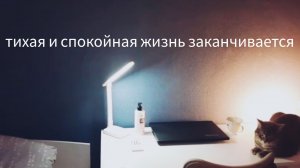 ПЕРЕДУМАЛА И ЗАКАЗАЛА ТОРШЕР ♡ алисы не будет