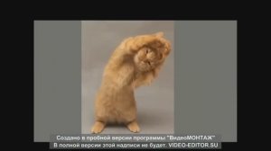 Мой клип в  день рождения сестры