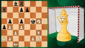 ШАХМАТНЫЙ ЭТЮД. КОРОЛЬ-ВРАТАРЬ