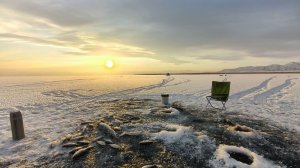 ЖЕСТЬ! ТАКОГО КЛЁВА Я ЕЩЕ НЕ ВИДЕЛ! РЫБАЛКА В АЛТАЙКЕ 2026