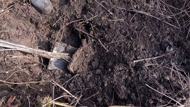 (ОТКРЫЛ СЕЗОН) КОП МЕТАЛЛА 08 01 2026 смотреть онлайн