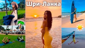 Мои КАНИКУЛЫ на Шри-Ланке🌴🍌 СЁРФИНГ 🏄♀️ ЙОГА 🧘♀️ СПА и океан 😍