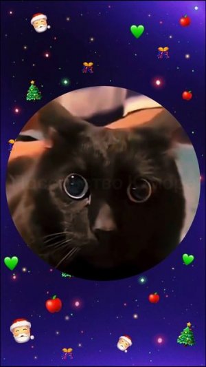 Распаковка подарков 🤣