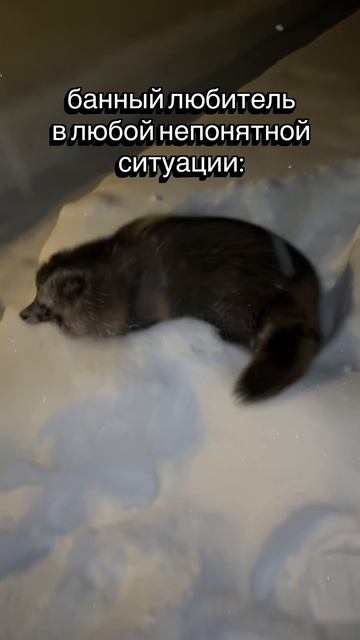 С легким паром и в снег!