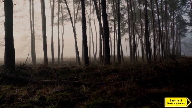 Истории людей попавших в параллельный мир!