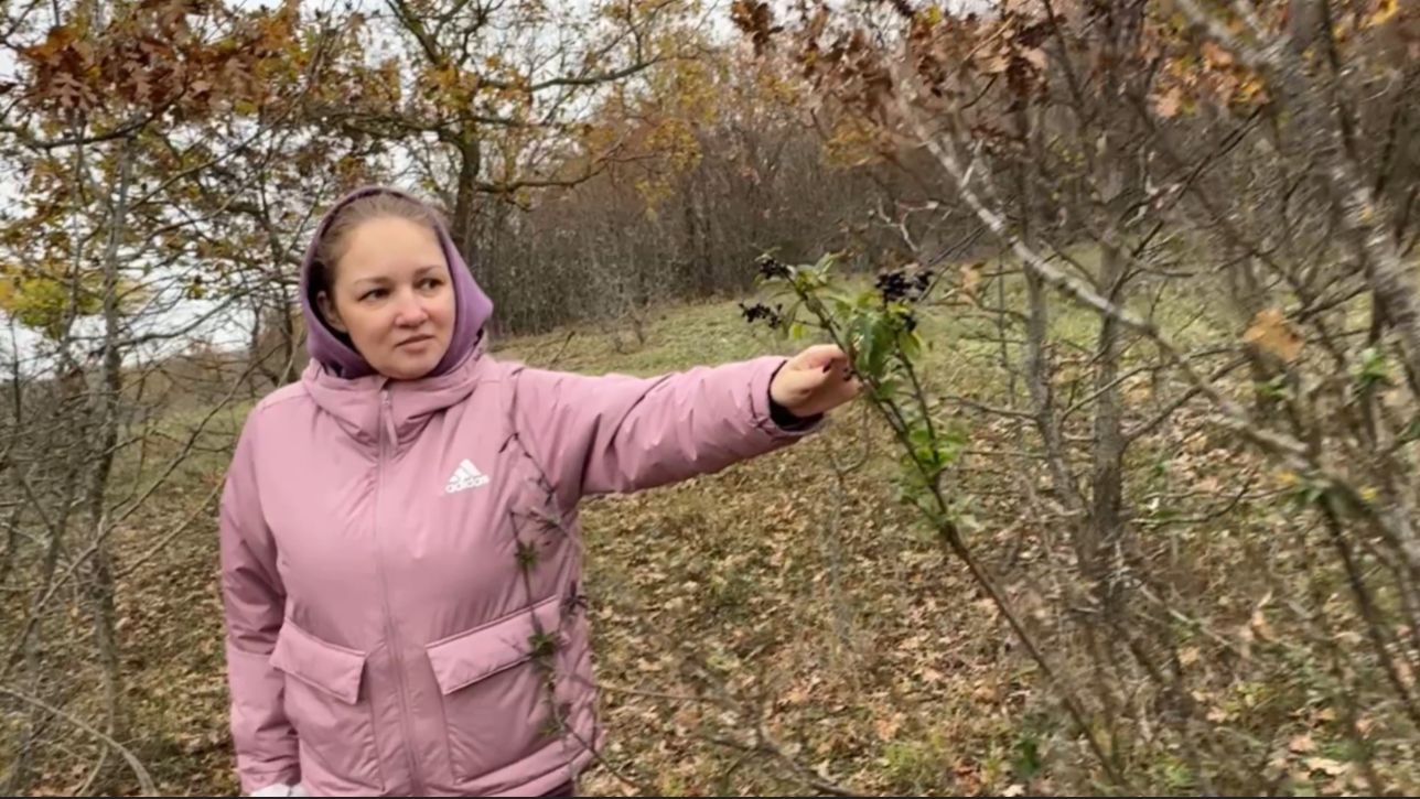 Утренняя прогулка по лесу в Анапе ! смотреть онлайн