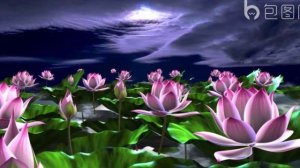 Vasilii CECEGOV & Atom- В объятиях ночи