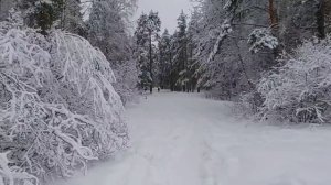 Сказка в сказкке
