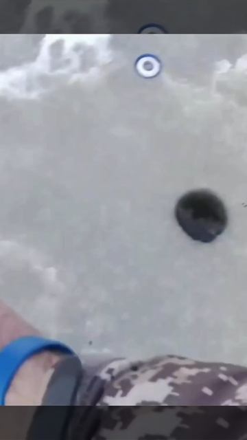 Начался замор на озере. Спасти рыбу!. смотреть онлайн