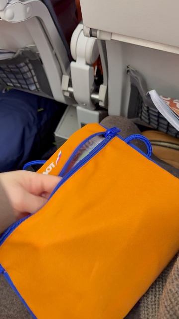 Приятный подарок, от аэрофлота детям, на Новогодних праздниках.