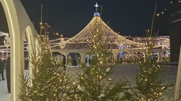 Новогодние выходные / Январь 2026