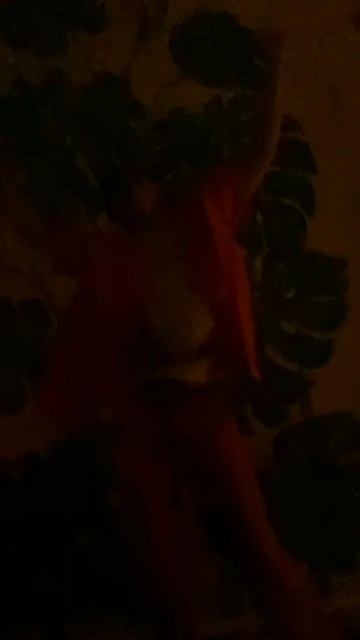 lv_0_20260108125402.mp4