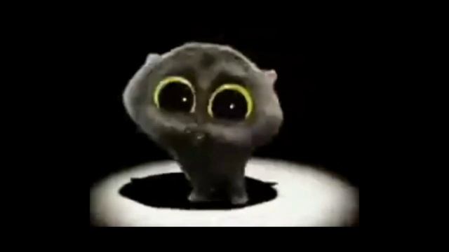 чёрный котик танцует под тренд 1 час смотреть онлайн