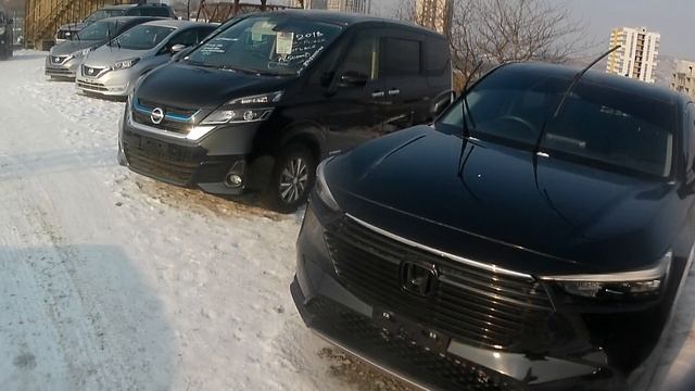 Зеленый угол-авторынок после нового года.Что продают?Какие цены? смотреть онлайн