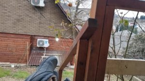 СОЧИ ГОРНОЕ ЛОО УТРО 08.01.2026