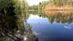 Супер РЫБАЛКА НА ПОПЛАВОК ранним утром! Лесная речка, красота и отличный клев