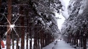 Зима - зима.