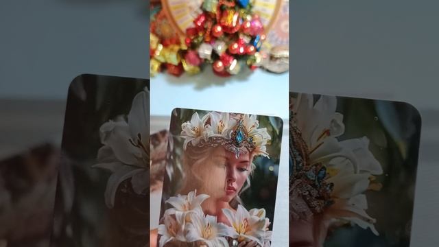 24-01-2026года Карта дня смотреть онлайн