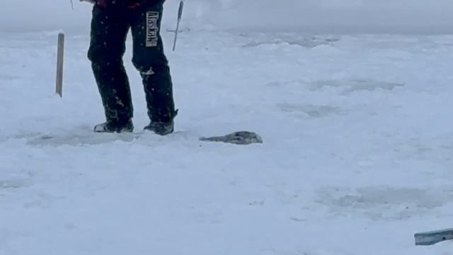 1000137858.mp4 смотреть онлайн