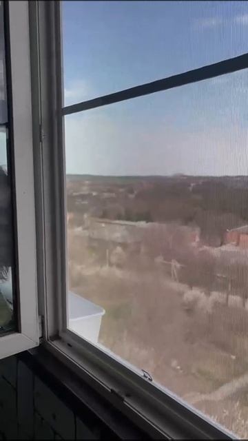 Установлена москитная сетка вставного (внутреннего) типа с сеткой Антикошка