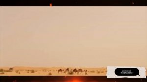 Какие тайны скрывают от нас под песками пустынь?