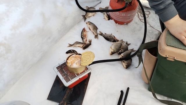 КАРАСЬ И В ГЛУХОЗИМЬЕ ОТЛИЧНО КЛЮЕТ