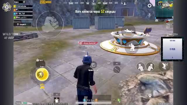 LIVE: WildTom_YouTube