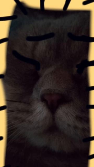 потряси телефоном