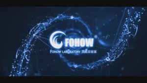 Постель Fohow. Комплект из 6 предметов. Ch. Пример нейтрализации антиоксидантов. (1)