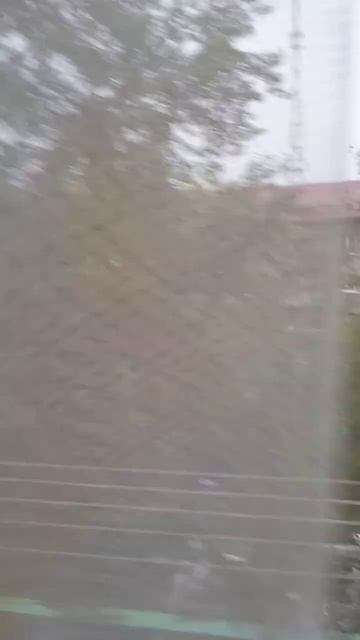 Погода в Омске 2022 года летом смотреть онлайн