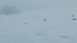 Зимние прогулки по Москве #зимниеразвлечения #замёрзший_водоём #кайтсёрфинг