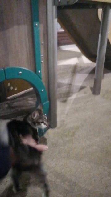 VID-20251207-WA0010.mp4 смотреть онлайн