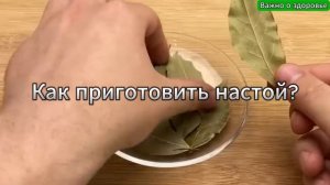 Готовим отвар из лаврового листа правильно