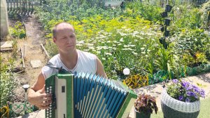 Улетело счастье чайкой / Под гармонь / Гармонист Николай Анатольевич