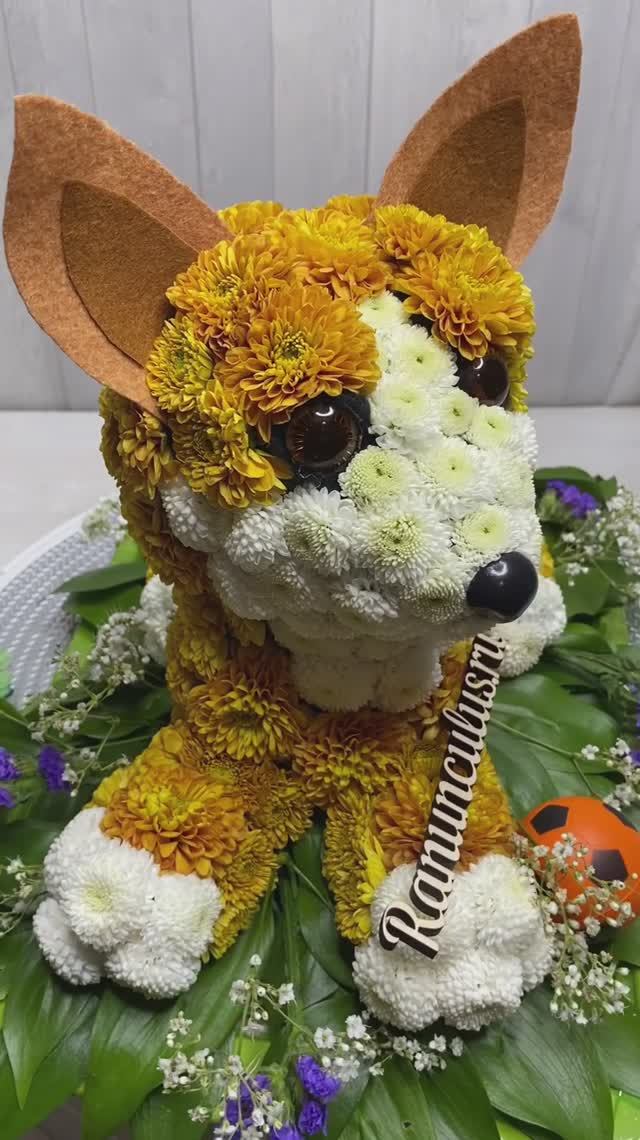 Фигурка корги из живых цветов смотреть онлайн