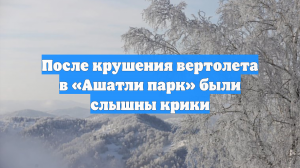 После крушения вертолета в «Ашатли парк» были слышны крики
