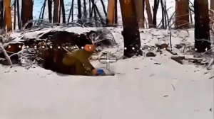 С добрым утром или дрон-ждун