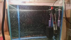 Второй день на плаву. Забросил соль Гуппи