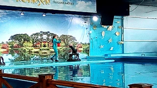Дельфинарий 🐬 Морской котик часть 1 смотреть онлайн