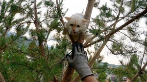 Каспер раскорячился