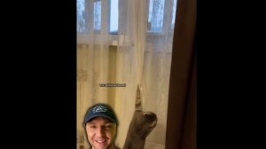 Комментарии тик ток, как отдельный вид искусства)