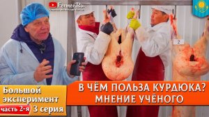 Вся правда про курдючный жир! Энергетическая бомба 900 ккал в 100 граммах! Мнение академика питания