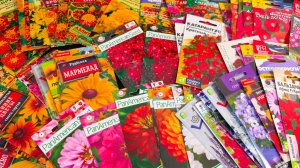 Обзор семян цветов на 2026 год