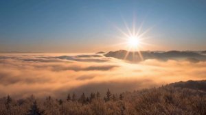 В поисках души